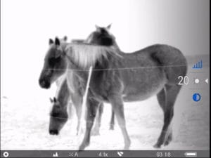 Aufnahme mit dem Pulsar Helion XQF Aufnahme mit dem Pulsar Helion XQF