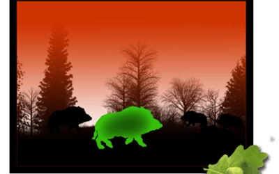 Nachtsichttechnik: Wie montiere ich ein Vorsatzgerät?