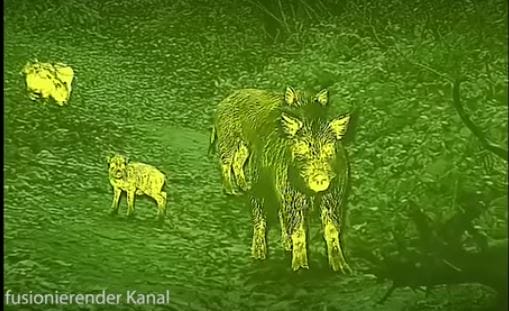 Fusionierender Kanal