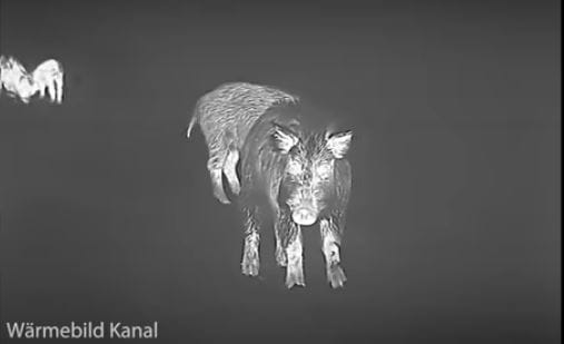 Wärmebild Kanal