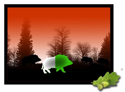 Fusion Technologie: Fusion Technologie: