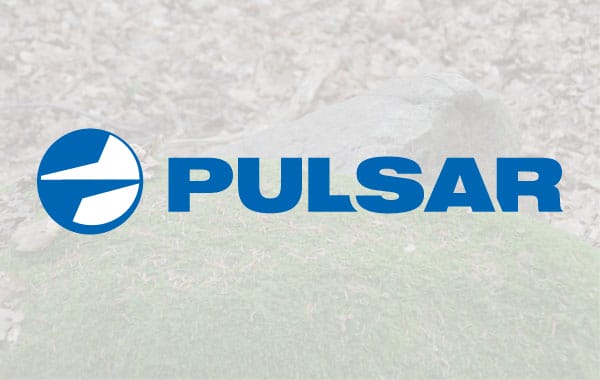 Pulsar Logo